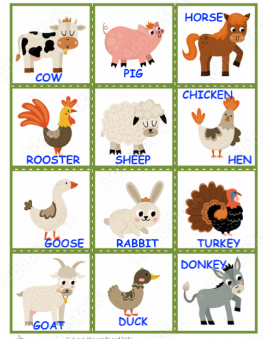 Farm Animals