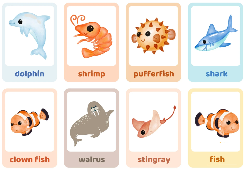 Sea Animals